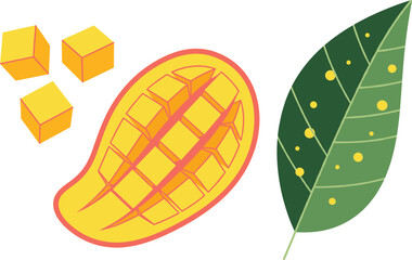 Flat Vector Illustration Set of Ripe Mango Fruit, Sliced Halves, Diced Cubes, and a Tropical Leaf for Summer, Healthy Food, and Exotic Juice Design