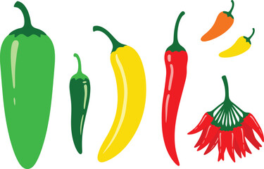 Flat Vector Collection of Various Chili Peppers Including Jalapeño, Cayenne, and Cluster Peppers in Green, Yellow, and Red Colors for Hot Food, Cooking, and Spice Design