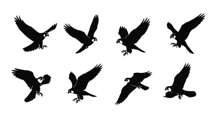 Naklejka premium A collection of eight black silhouettes depicting birds in various flight poses