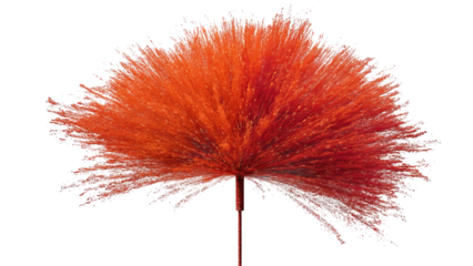 PNG of A stunning red fluffy flower, showcasing vibrant hues and intricate details, exuding a sense of warmth and energy.