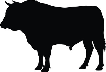 Black silhouette of a powerful bull