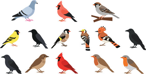 Obraz premium Bird Species Collection Vector Illustration Showing Different Wild Birds Perching and Standing Isolated on White Background Nature Concept