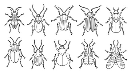 Insects Vector Line Art Set - Simple Outlines, Monochrome, Ideal for Children’s Books and Infographics