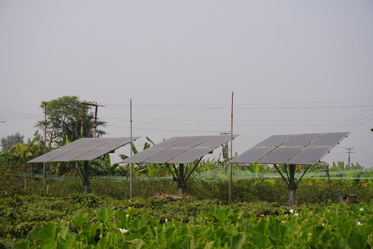 Solar panels installed over green agricultural field for agrivoltaics