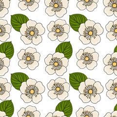 Seamless vector pattern of delicate white kiwi flowers with vibrant green leaves against a clean white background, showcasing botanical illustration for decorative purposes.