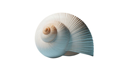 Ocean's Spiral: A captivating image of a perfectly formed seashell, its elegant spiral echoing the mysteries of the deep, gleaming with subtle iridescence.