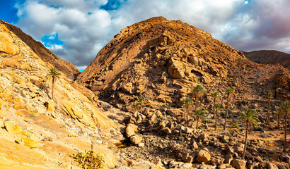 Fototapeta premium Barranco de las Peñitas, Betancuria Rural Park in Fuerteventura, Canary Islands