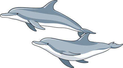 Pair of playful dolphins vector illustration in light blue and gray, swimming together in a friendly and dynamic pose, representing marine life, ocean ecology, and aquatic animals