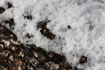 Close-up of sparkling fresh snow resting on rough, dark brown tree bark. High-contrast winter texture detail, showing the delicate frost and rugged wood.