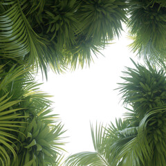Obraz premium Dark void surrounded by lush green fern fronds