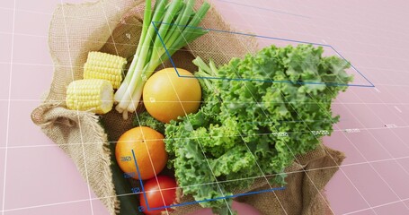 Showing burlap sack with kale, oranges, tomato, corn, scallions on pink table with wireframe grid © vectorfusionart