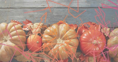 Showing tan ribbed pumpkin, orange gourds and dried leaves on blue-gray plank, pink orange overlay © vectorfusionart