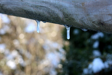 Close-up shot of two small, melting icicles dripping from a rough, weathered wooden beam. The background is an out-of-focus winter scene featuring muted browns, whites, and dark greenery.