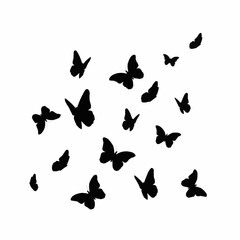 butterflies isolated on white
