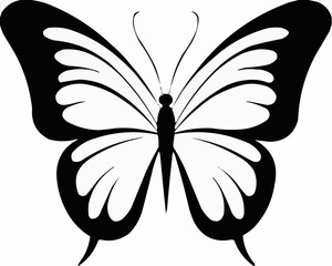 black and white butterfly