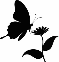 black and white butterfly