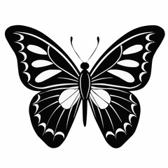 butterfly vector illustration
