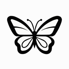 butterfly vector illustration