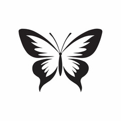 butterfly vector illustration