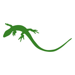 Lizard silhouette simple