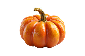 Vibrant Pumpkin Against Black Backdrop Symbolizing Autumn Harvest