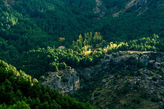 Oto&ntilde;o, en el parque natural de Cazorla, Segura y Las Villas.