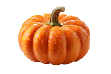 Vibrant Orange Pumpkin Isolated on Black Background, Studded with Sparkling Water Droplets, Embodying Autumn's Harvest and Natural Freshness