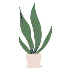Plant in white pot illustration