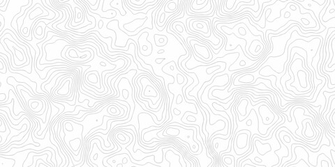 Vector minimal  paper abstract white outline area topography paper lines. Topographic contour. lines grid map seamless pattern. Geographic mountain relief lines background.	
