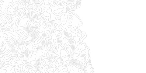 Vector minimal  paper abstract white outline area topography paper lines. Topographic contour. lines grid map seamless pattern. Geographic mountain relief lines background.	
