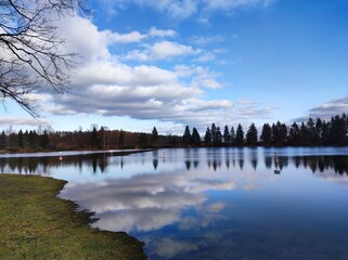 lake and trees