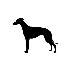 Whippet dog silhouette icon vector flat illustration design.