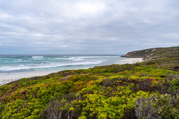 Bales Beach coastal landscape at Seal Bay Conservation Park, Australia