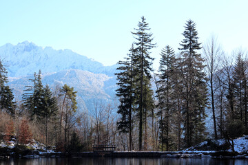 Majestic snow-capped mountains of the Alps rise above a tranquil alpine lake, framed by evergreen forest and winter undergrowth under a clear blue sky.