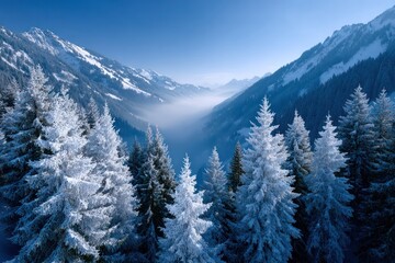 Winter Wonderland Mountain Scenery:  A breathtaking view of a snowy mountain range, with frosted trees in the foreground and a valley covered in mist in the distance.