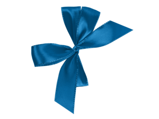 decorative ribbon bow on a gift box isolated on a white background