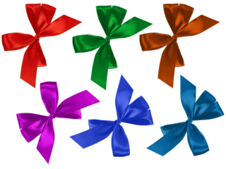 decorative ribbon bow on a gift box isolated on a white background