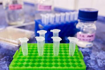 Sets of small test tubes in plastic racks next to reagents and flasks.