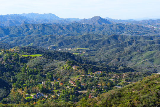 Calabasas Hills Landscape Featuring Lush Greenery and Residential Properties