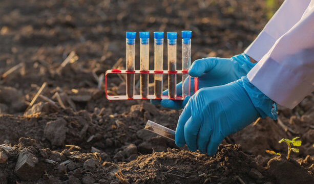 Field soil samples for analysis. Selective focus.