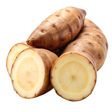 Brown yacon root isolated on transparent background