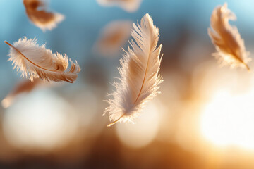 Naklejka premium Floating feathers shimmer in a soft golden glow, creating a whimsical and dreamy atmosphere that inspires a sense of wonder and evokes imagination.