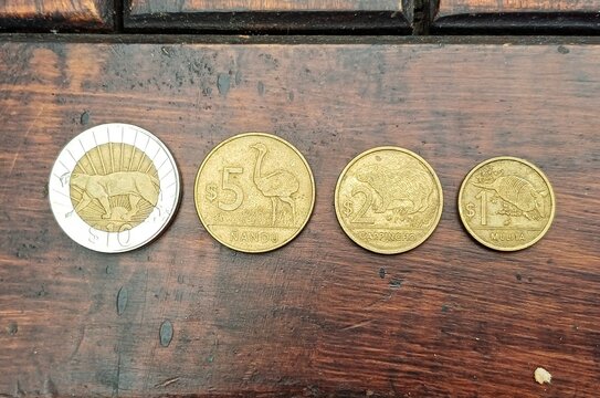 Uruguay Pesos M&uuml;nzen &ndash; 10, 5, 2 und 1 Peso mit Tieren (Puma, Nandu, Capincho, Mulita) auf Holztisch