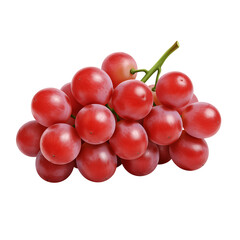 Naklejka premium Fresh red grapes on the vine isolated against a dark background