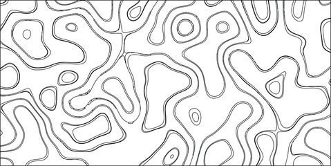 Detailed black and white abstract topographic contour lines creating intricate organic shapes and flowing patterns on a bright white background for versatile design applications