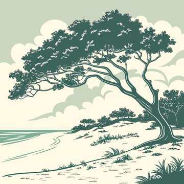 Stylized illustration of a windswept pine tree on a sandy dune overlooking a calm ocean under a cloudy sky
