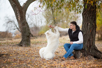 A guy trains his pet Samoyed while sitting in a park by the river