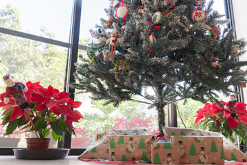 Christmas gifts under a Christmas tree inside a cozy house decorated with poinsettia pots.