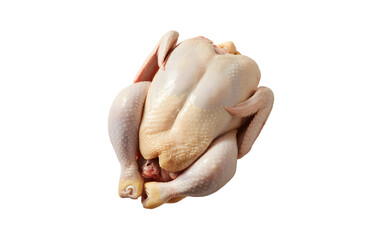 Whole raw chicken isolated on transparent background