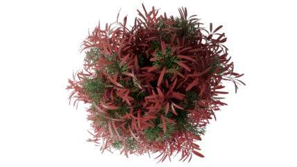 Abstract red and green organic form isolated on transparent background